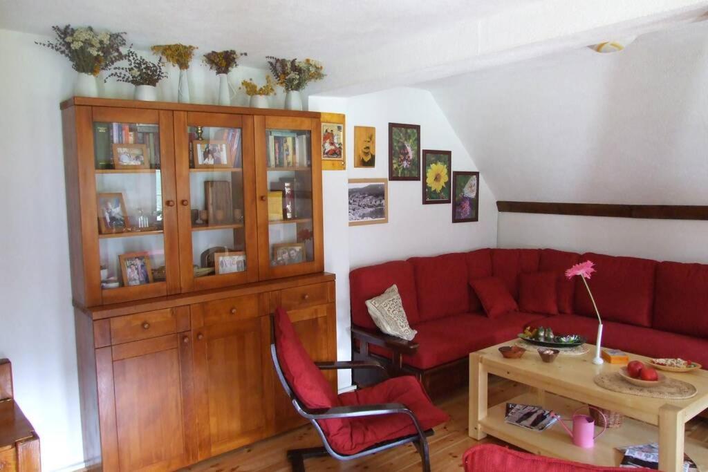Spectacular Lakeview House Zabljak (Zabljak)